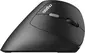 Rapoo EV250 Silent Ergonomic wireless Mouse black/silver, USB