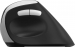 Rapoo EV250 Silent Ergonomic wireless Mouse black/silver, USB