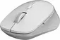 Rapoo M300 Silent Multi-mode wireless light grey, USB/Bluetooth