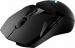 Rapoo VPRO Gaming VT950 wired/Wireless black, USB