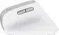Trust Bayo II Ergonomic wireless Mouse white, ECO certified, USB