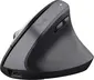 Trust Bayo+ Multidevice Ergonomic wireless Mouse black, ECO certified, USB/Bluetooth