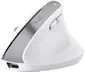 Trust Bayo+ Multidevice Ergonomic wireless Mouse white, ECO certified, USB/Bluetooth