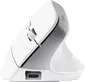 Trust Bayo+ Multidevice Ergonomic wireless Mouse white, ECO certified, USB/Bluetooth