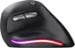 Trust Bayo wireless rechargeable Ergonomic Mouse black/grey, ECO certified, USB