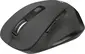 Trust Fyda rechargeable wireless Comfort Mouse black, USB