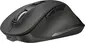 Trust Fyda rechargeable wireless Comfort Mouse black, USB