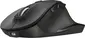 Trust Fyda rechargeable wireless Comfort Mouse black, USB