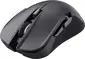 Trust Gaming GXT 923 YBAR wireless Gaming Mouse black, USB