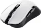 Trust Gaming GXT 923W YBAR wireless Gaming Mouse white/black, USB