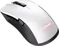 Trust Gaming GXT 923W YBAR wireless Gaming Mouse white/black, USB