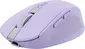 Trust Ozaa Compact wireless Mouse purple, USB/Bluetooth