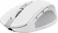 Trust Ozaa Compact wireless Mouse white, USB/Bluetooth