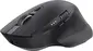 Trust Ozaa+ Multi-Device wireless Mouse black, USB/Bluetooth