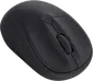 Trust Primo wireless Mouse, black, USB
