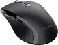 Trust Sura Comfortable wireless Mouse, USB