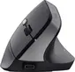 Trust TM-270 Ergonomic wireless Mouse black, USB