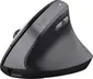 Trust Yuno Ergonomic wireless Mouse black, USB