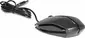 Wortmann TERRA Mouse 1000 black, USB
