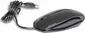 Wortmann TERRA Mouse 1000 black, USB