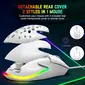 Ziyou long D19 RGB Gaming Mouse white, USB