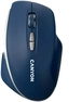 Canyon MW-21 wireless Mouse Blue, USB