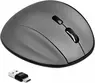DeLOCK ergonomic optical 5-button 3in1 mouse, grey, USB/Blu...
