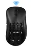 Pulsar Gaming Gears Xlite V2 mini wireless black, USB