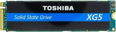 KIOXIA XG5 Client SSD 256GB, M.2