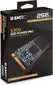 Emtec X300 SSD Power Pro 256GB, M.2 2280 / M-Key / PCIe 3.0 x4