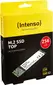 Intenso Top Performance SSD 256GB, M.2 2280 / B-M-Key / SATA 6Gb/s