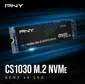 PNY CS1030 250GB, M.2 2280 / M-Key / PCIe 3.0 x4