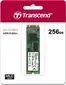 Transcend MTS800S SSD 256GB, M.2 2280 / B-M-Key / SATA 6Gb/s