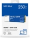 Western Digital WD Blue SA510 SSD 250GB, M.2