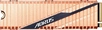 GIGABYTE AORUS NVMe Gen4 SSD 500GB, M.2 2280 / M-Key / PCIe 4.0 x4, с радиатором
