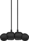 Apple Beats Flex Beats Black