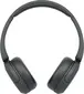 Sony WH-CH520 black