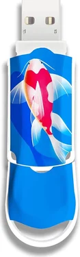 Integral Xpression Koi Fish 128GB, USB-A 3.0