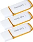 Philips Snow Edition 128GB, USB-A 2.0, 3er-Pack